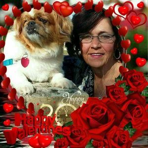 Meet your Posher, Marilyn